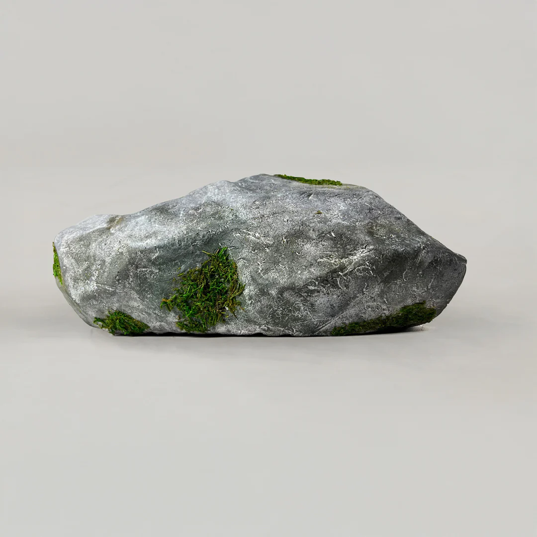 Rock Shoe - Image 4