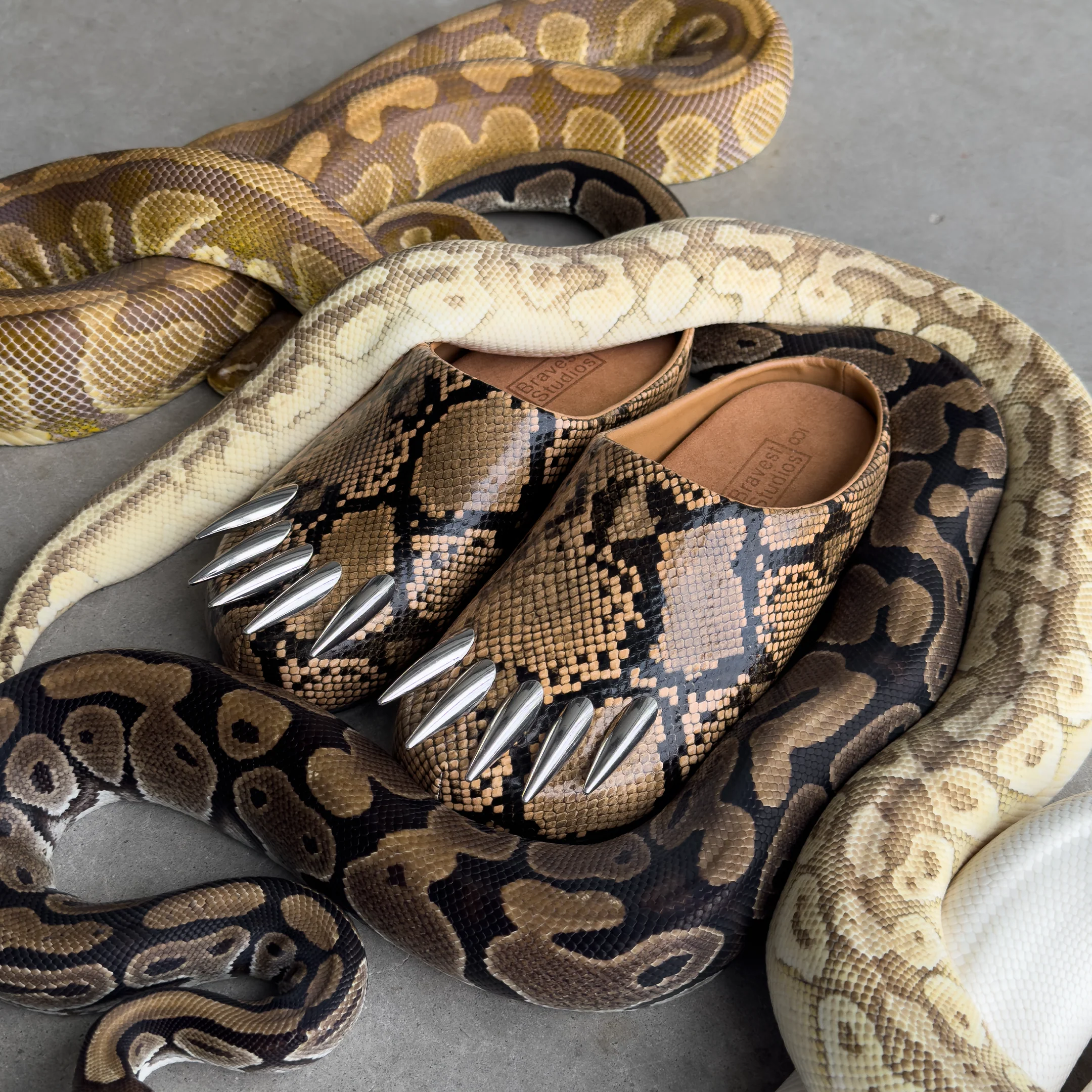 Snakeskin Claw Mules (Two Colorways) - Image 3