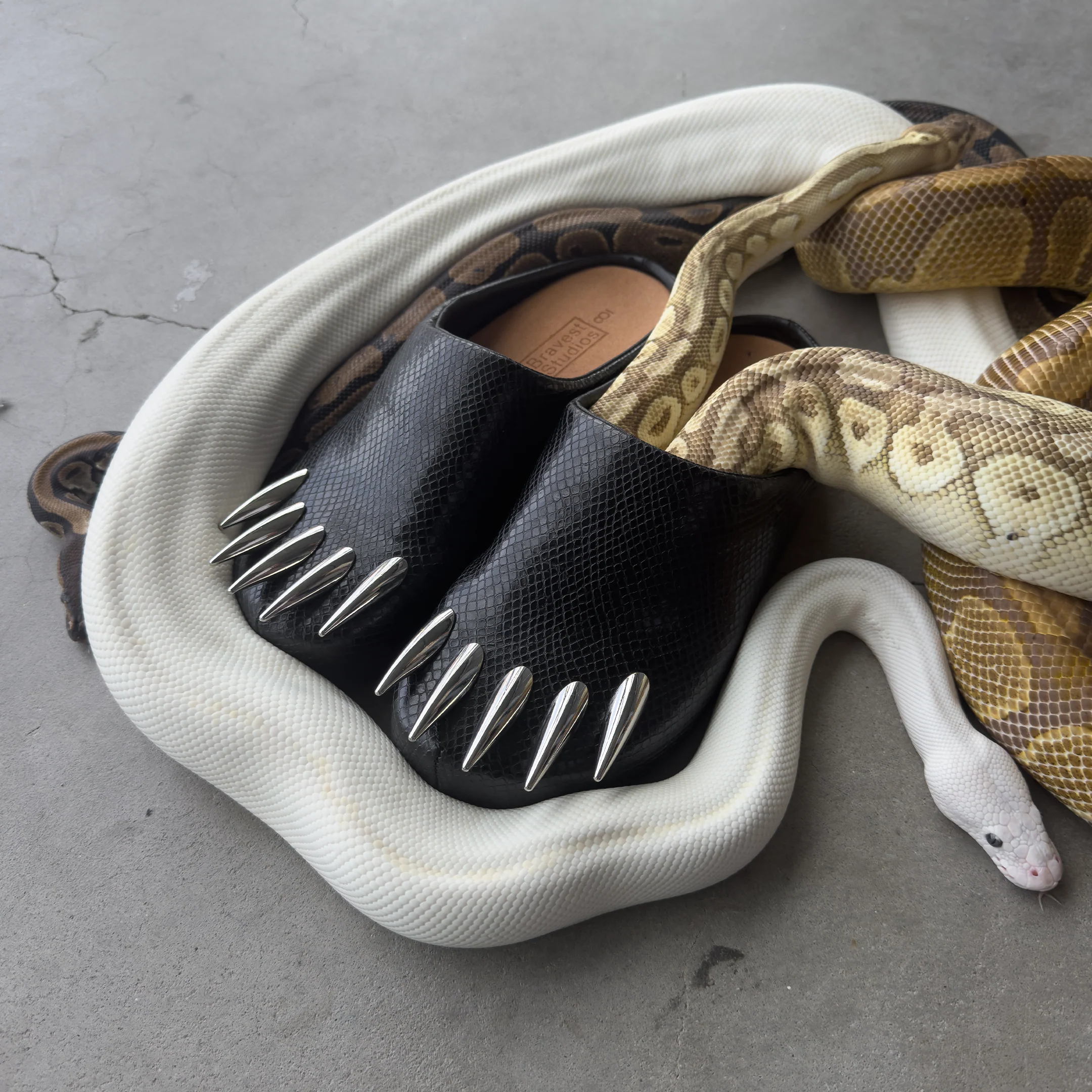 Snakeskin Claw Mules (Two Colorways) - Image 7